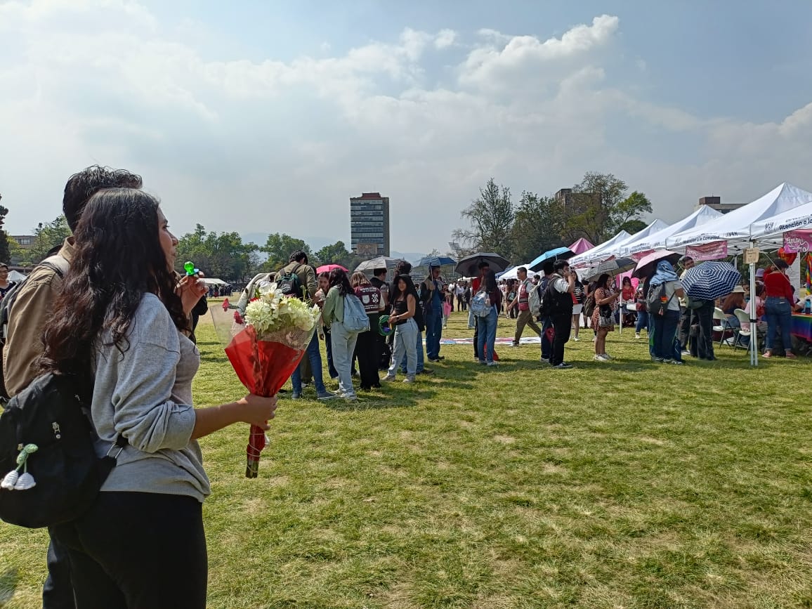 Festival "Amor es…"